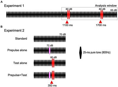 Age and sex effects on paired-pulse suppression and prepulse inhibition of auditory evoked potentials